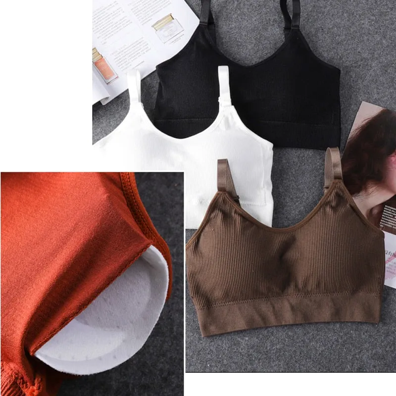 Seamless Sports Bra