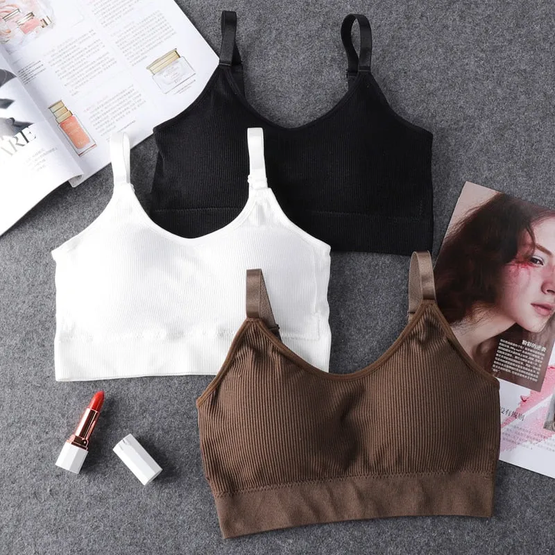 Seamless Sports Bra